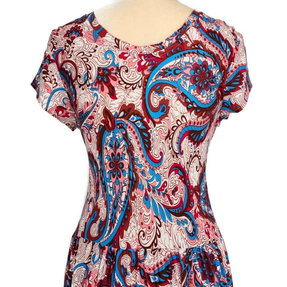 Soft Surroundings Kara Fit & Flare Flowy Pleated Floral Paisley Midi-Maxi Dress - Picture 5 of 16